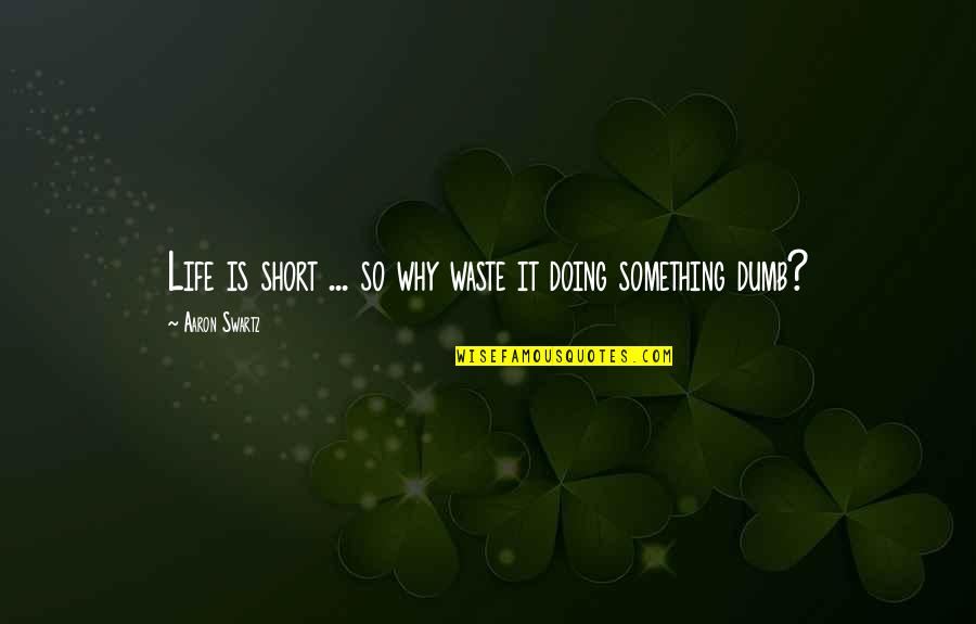 Doing More In Life Quotes By Aaron Swartz: Life is short ... so why waste it