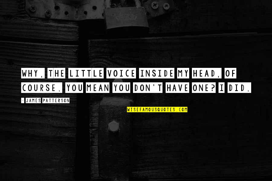 Doing Nothing Is Very Hard To Do Quotes By James Patterson: Why, the little Voice inside my head, of