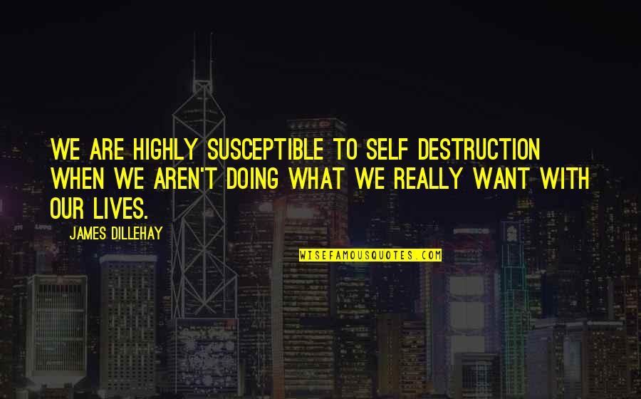 Doing Personal Best Quotes By James Dillehay: We are highly susceptible to self destruction when