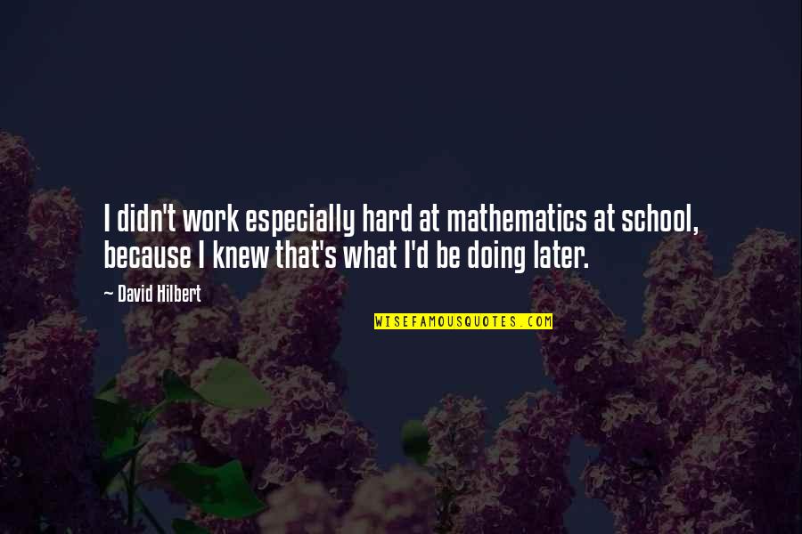 Doing School Work Quotes By David Hilbert: I didn't work especially hard at mathematics at Doing School Work Quotes By David Hilbert: I didn't work especially hard at mathematics at