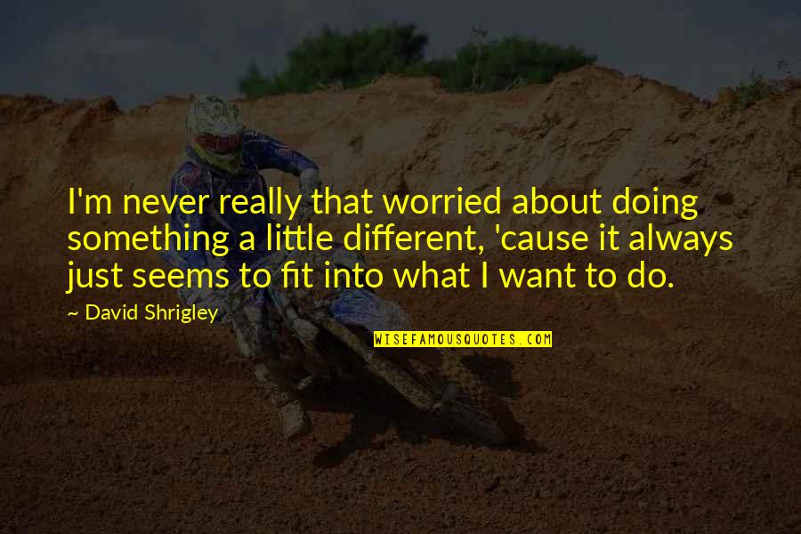 Doing Something About It Quotes By David Shrigley: I'm never really that worried about doing something