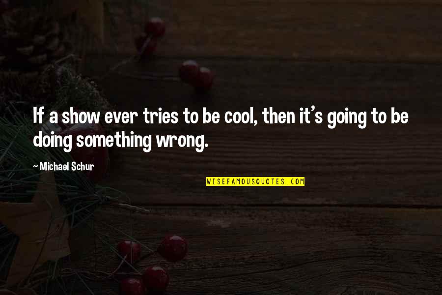 Doing Something Now Quotes By Michael Schur: If a show ever tries to be cool,