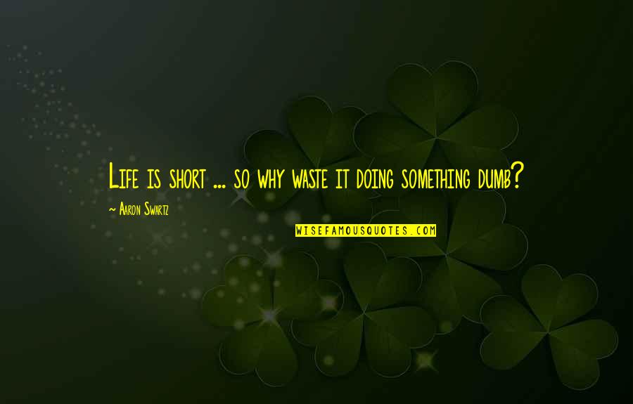 Doing Something Quotes By Aaron Swartz: Life is short ... so why waste it