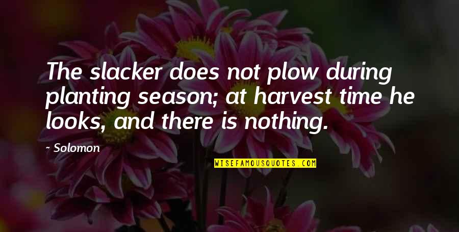 Doing Something Wrong And Regretting It Quotes By Solomon: The slacker does not plow during planting season;