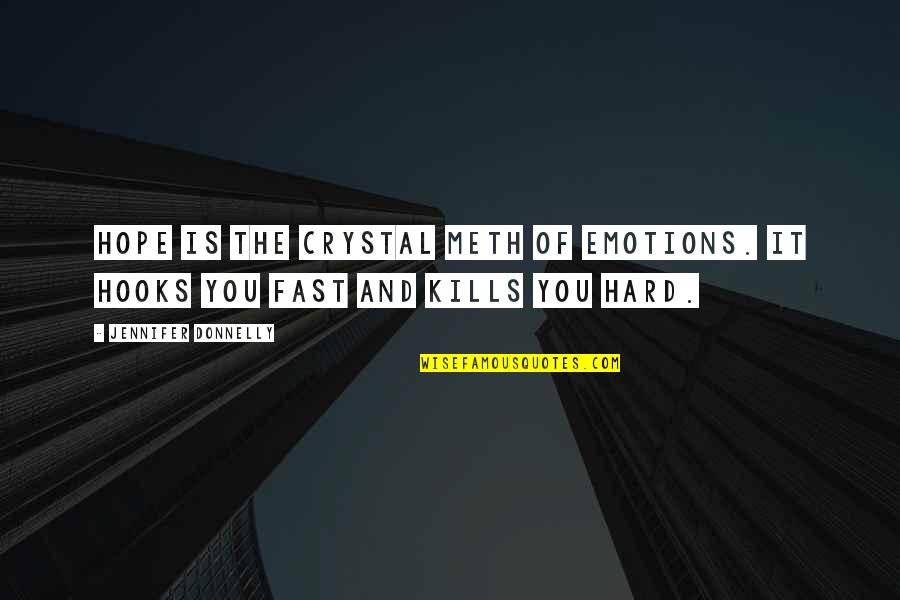 Doing The Basics Quotes By Jennifer Donnelly: Hope is the crystal meth of emotions. It