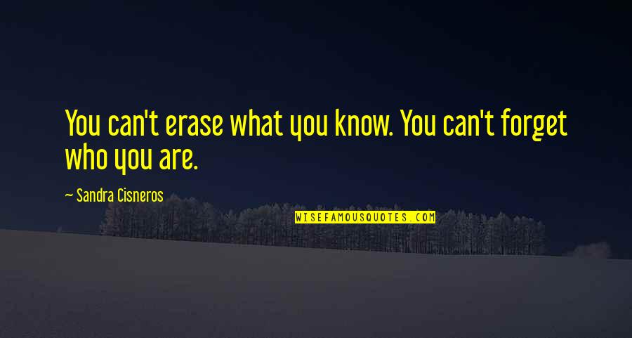 Doing The Basics Quotes By Sandra Cisneros: You can't erase what you know. You can't