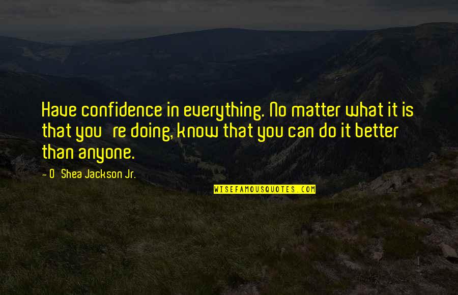 Doing The Best You Can With What You Have Quotes By O'Shea Jackson Jr.: Have confidence in everything. No matter what it Doing The Best You Can With What You Have Quotes By O'Shea Jackson Jr.: Have confidence in everything. No matter what it