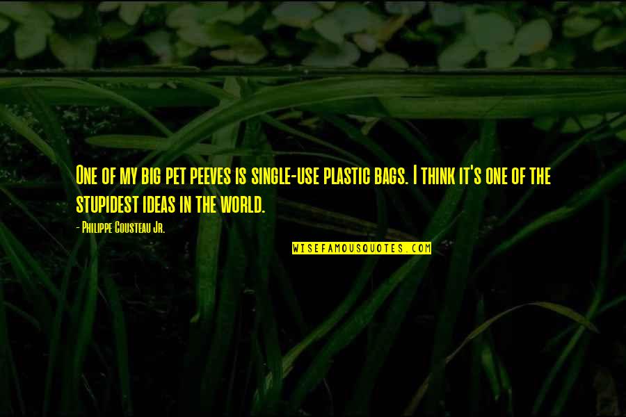 Doing Things The Hard Way Quotes By Philippe Cousteau Jr.: One of my big pet peeves is single-use