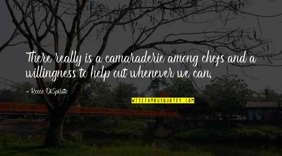 Doing Things Today Quotes By Rocco DiSpirito: There really is a camaraderie among chefs and Doing Things Today Quotes By Rocco DiSpirito: There really is a camaraderie among chefs and