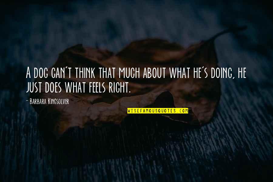 Doing What Feels Right Quotes By Barbara Kingsolver: A dog can't think that much about what