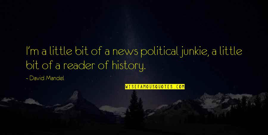 Doing What It Takes To Win Quotes By David Mandel: I'm a little bit of a news political