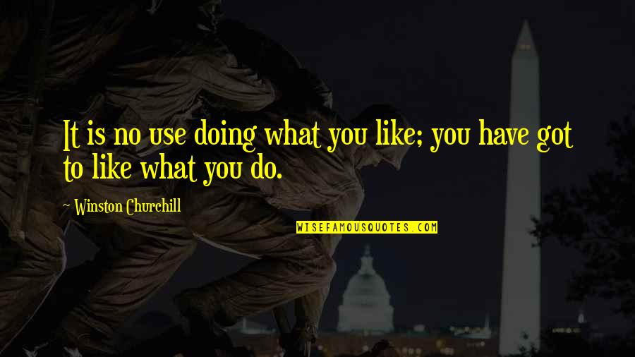 Doing What You Got To Do Quotes By Winston Churchill: It is no use doing what you like;