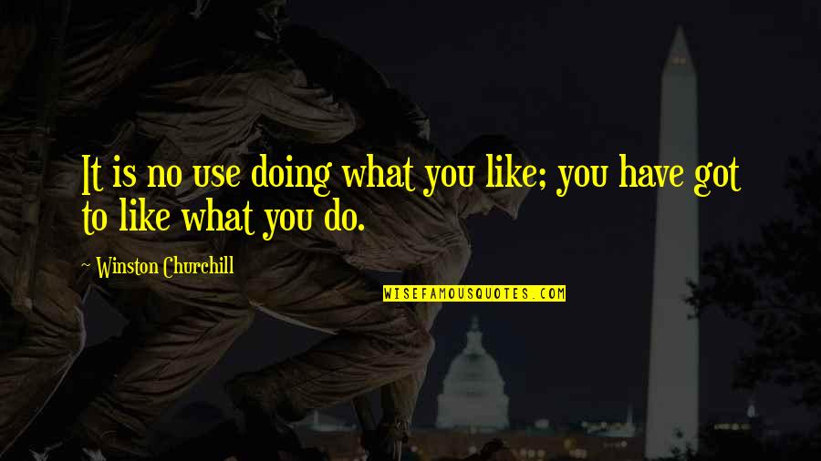 Doing What You Like Quotes By Winston Churchill: It is no use doing what you like;