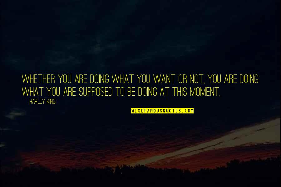 Doing What You Want Quotes By Harley King: Whether you are doing what you want or