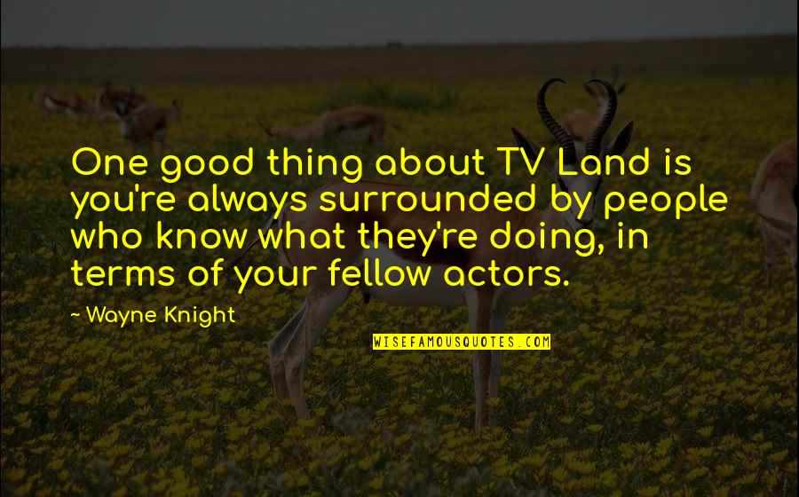 Doing What You're Good At Quotes By Wayne Knight: One good thing about TV Land is you're