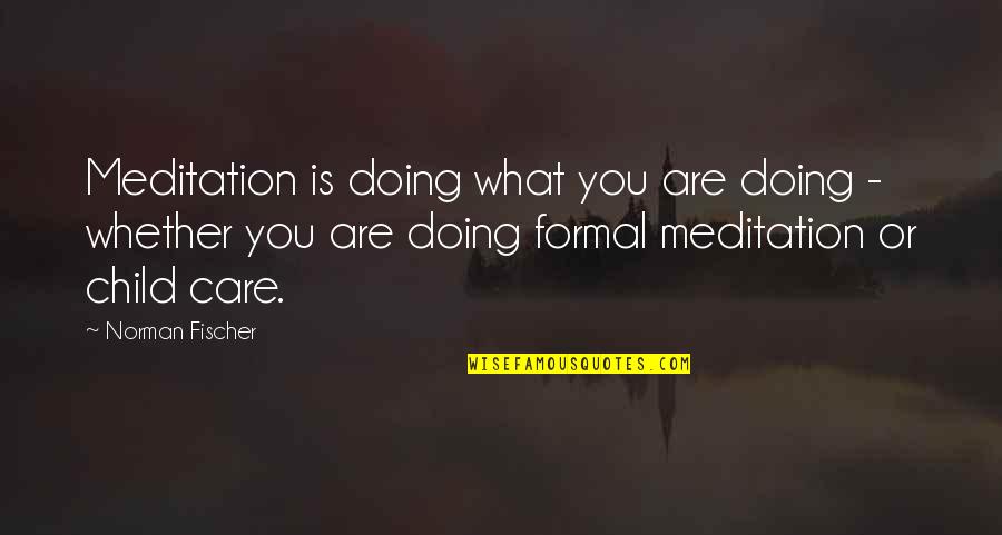 Doing What's Best For Your Child Quotes By Norman Fischer: Meditation is doing what you are doing -