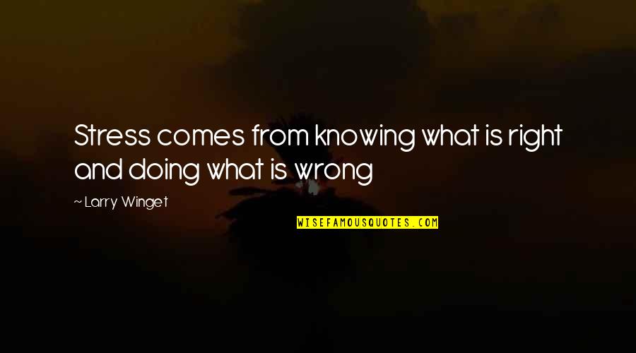 Doing Wrong And Right Quotes By Larry Winget: Stress comes from knowing what is right and