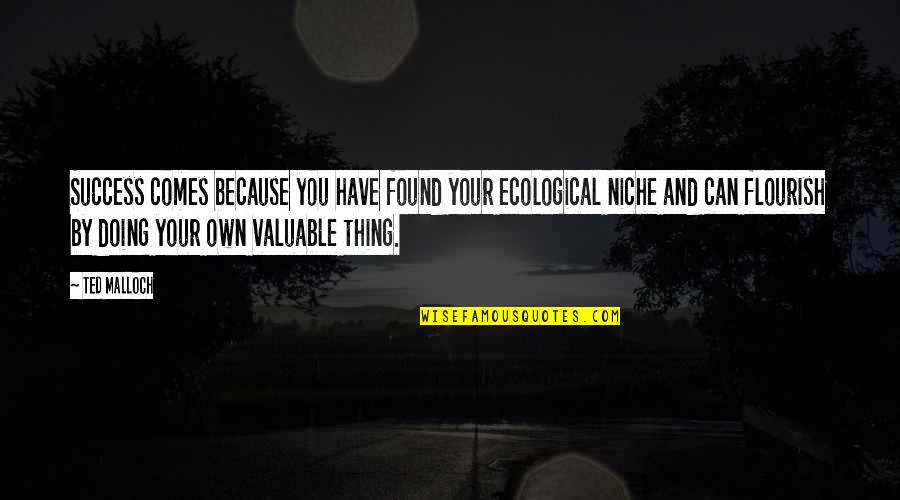 Doing Your Own Thing Quotes By Ted Malloch: Success comes because you have found your ecological