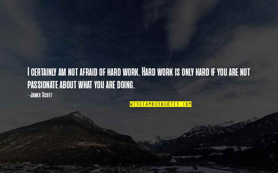 Doing Your Own Work Quotes By James Scott: I certainly am not afraid of hard work.