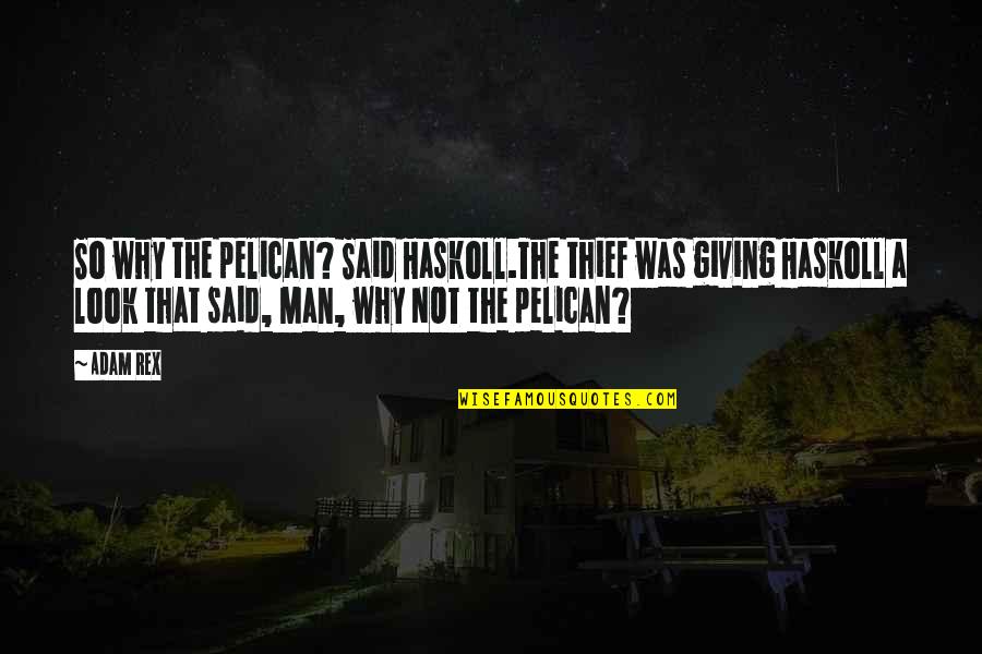 Dojang Quotes By Adam Rex: So why the pelican? Said Haskoll.The thief was Dojang Quotes By Adam Rex: So why the pelican? Said Haskoll.The thief was