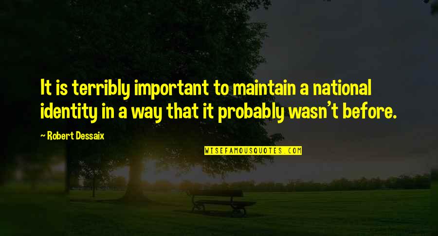 Dok E V C Song Quotes By Robert Dessaix: It is terribly important to maintain a national