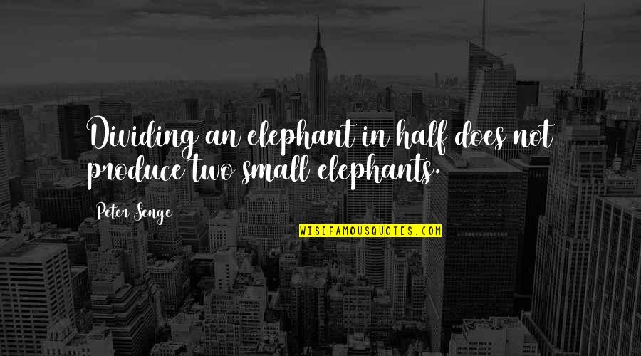 Doka Formwork Quotes By Peter Senge: Dividing an elephant in half does not produce