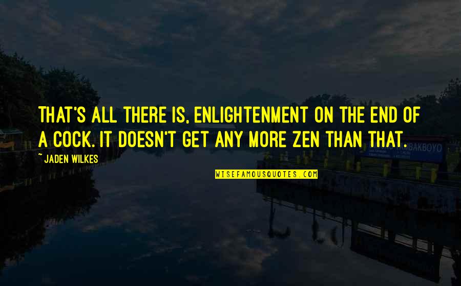 Dokazi U Quotes By Jaden Wilkes: That's all there is, enlightenment on the end