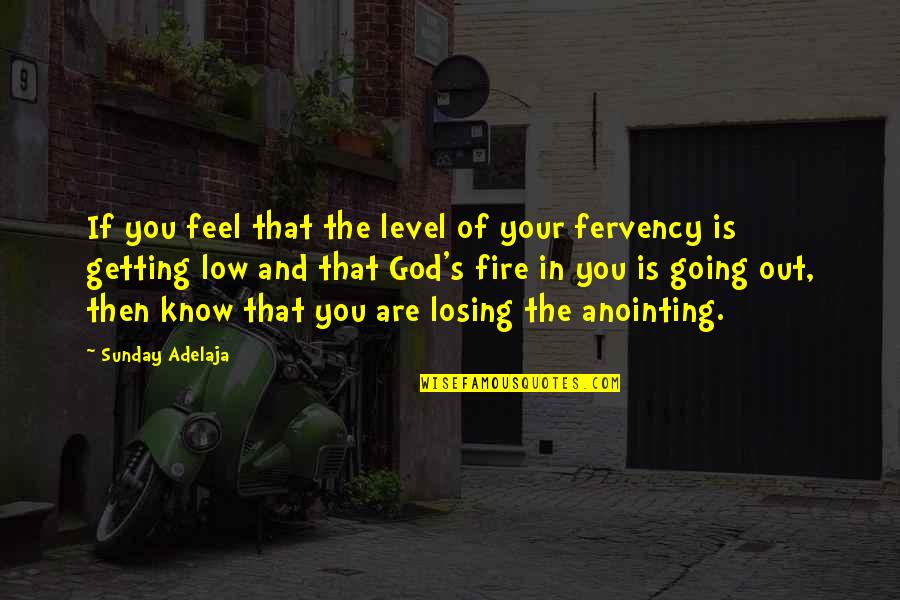 Doknic Vesna Quotes By Sunday Adelaja: If you feel that the level of your