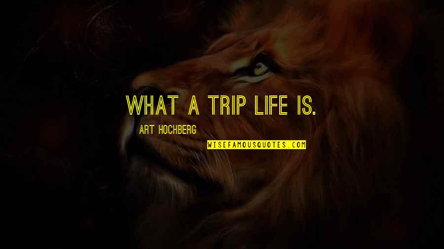 Doktora Nedir Quotes By Art Hochberg: What a trip life is.