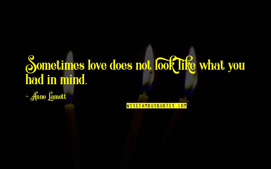 Dolardan Quotes By Anne Lamott: Sometimes love does not look like what you