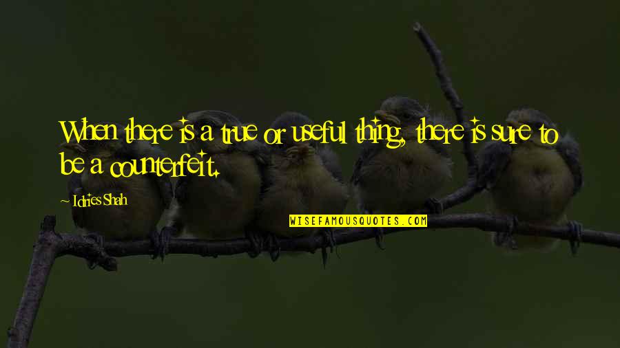 Dolat Investment Quotes By Idries Shah: When there is a true or useful thing,