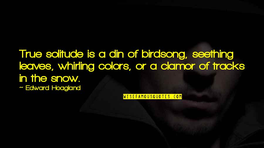 Dolbow Video Quotes By Edward Hoagland: True solitude is a din of birdsong, seething Dolbow Video Quotes By Edward Hoagland: True solitude is a din of birdsong, seething