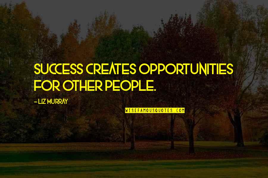 Doleful Quotes By Liz Murray: Success creates opportunities for other people.