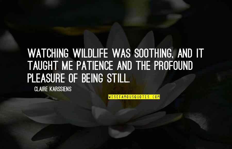 Dolens Nursery Quotes By Claire Karssiens: Watching wildlife was soothing, and it taught me