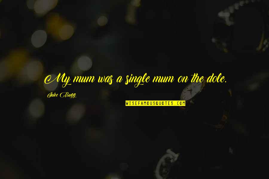 Dole's Quotes By Jake Bugg: My mum was a single mum on the Dole's Quotes By Jake Bugg: My mum was a single mum on the