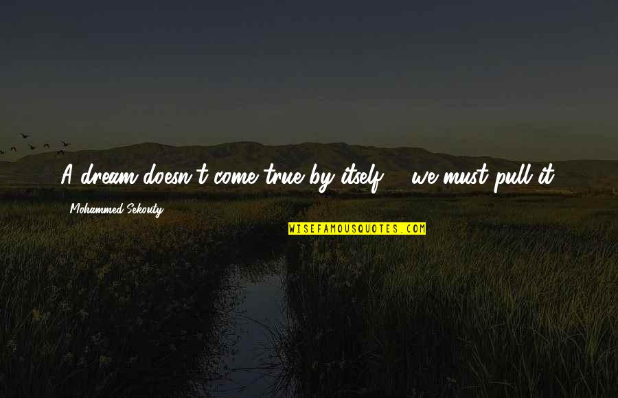 Dolidze Shalva Quotes By Mohammed Sekouty: A dream doesn't come true by itself ... Dolidze Shalva Quotes By Mohammed Sekouty: A dream doesn't come true by itself ...