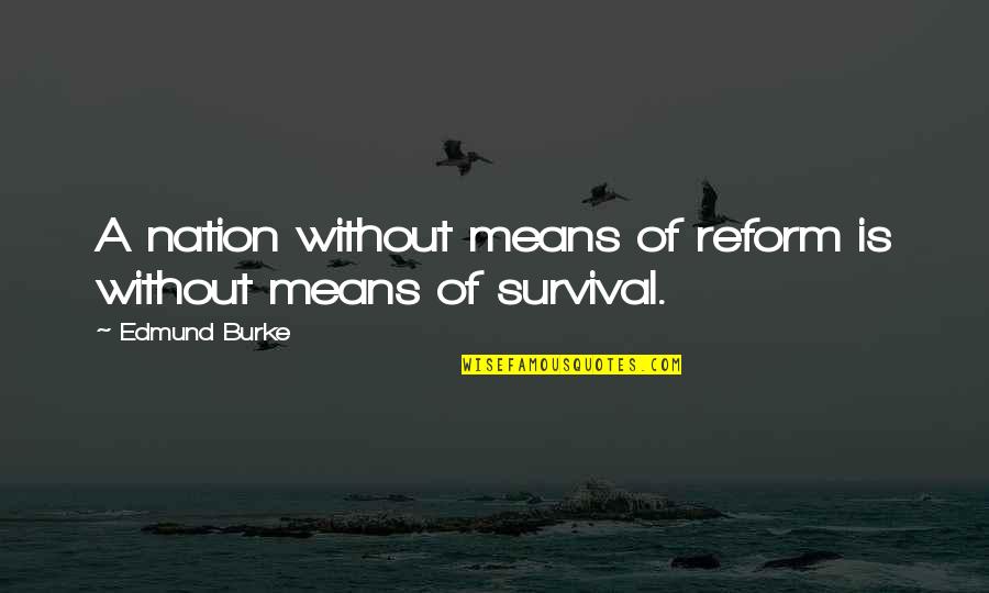 Dolinka Russia Quotes By Edmund Burke: A nation without means of reform is without
