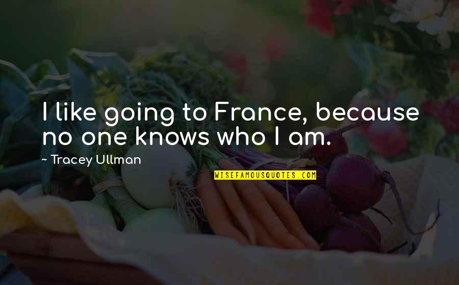 Dollops Quotes By Tracey Ullman: I like going to France, because no one Dollops Quotes By Tracey Ullman: I like going to France, because no one