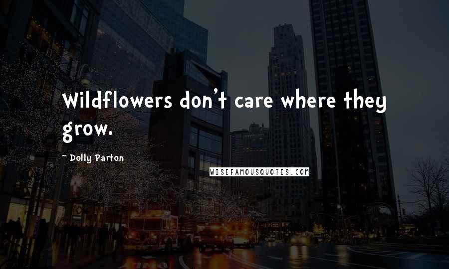 Dolly Parton quotes: Wildflowers don't care where they grow.