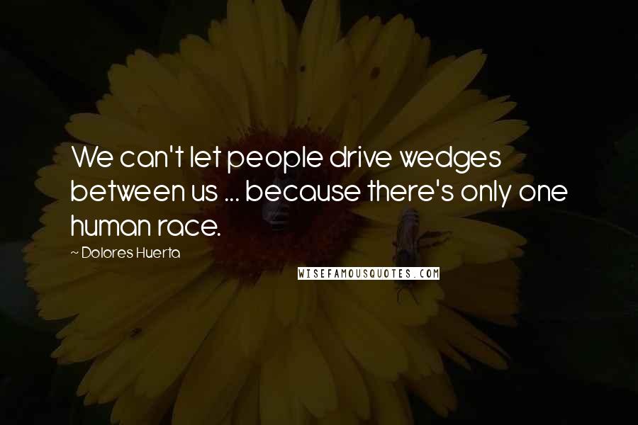 Dolores Huerta quotes: We can't let people drive wedges between us ... because there's only one human race.