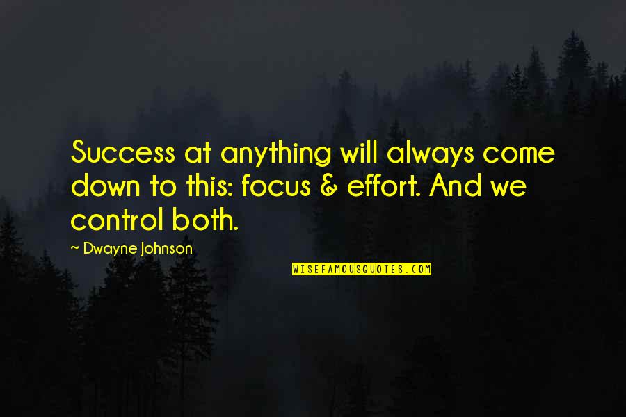 Dolour Quotes By Dwayne Johnson: Success at anything will always come down to