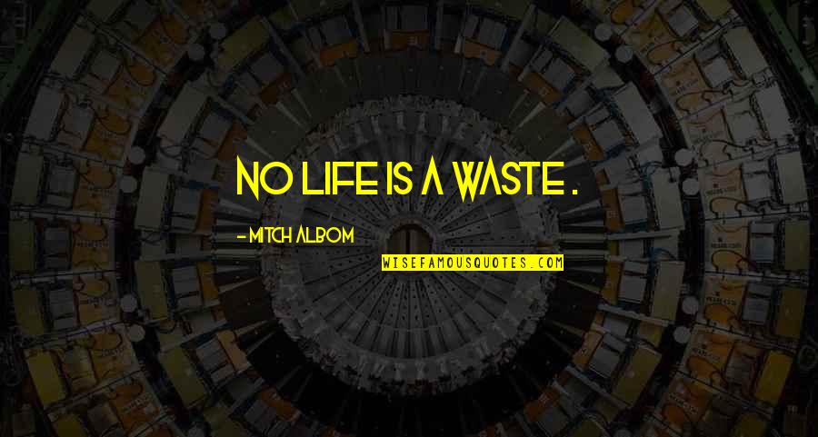 Dolph Briscoe Quotes By Mitch Albom: No life is a waste .