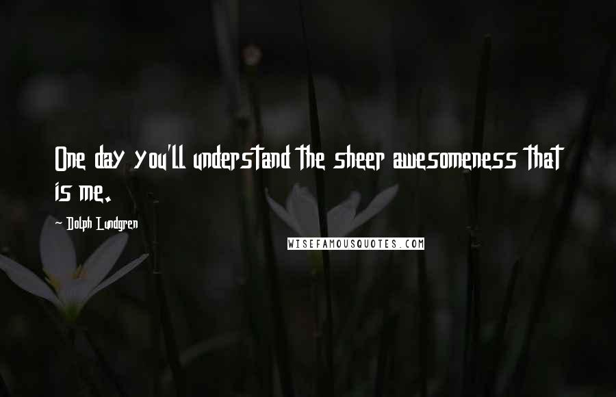Dolph Lundgren quotes: One day you'll understand the sheer awesomeness that is me.