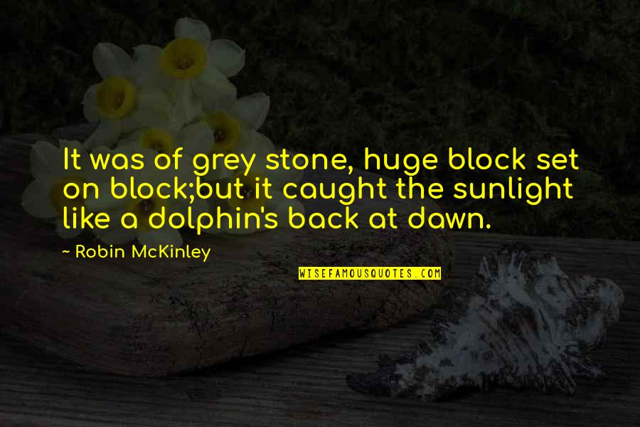 Dolphin Quotes By Robin McKinley: It was of grey stone, huge block set