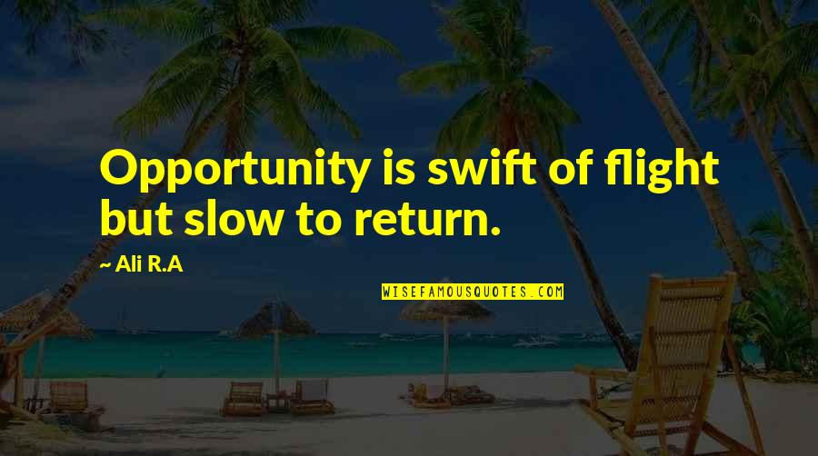 Dolphinitely Quotes By Ali R.A: Opportunity is swift of flight but slow to