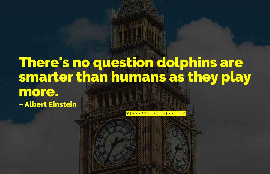 Dolphins Quotes By Albert Einstein: There's no question dolphins are smarter than humans