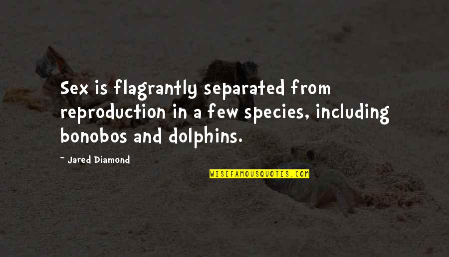 Dolphins Quotes By Jared Diamond: Sex is flagrantly separated from reproduction in a