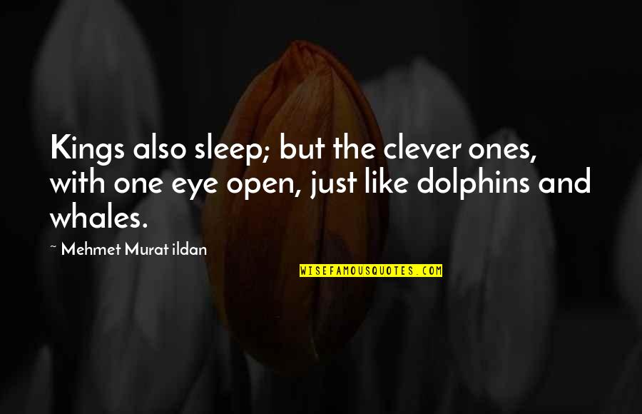 Dolphins Quotes By Mehmet Murat Ildan: Kings also sleep; but the clever ones, with