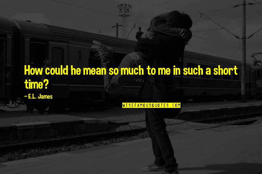 Dolvin Foundation Quotes By E.L. James: How could he mean so much to me