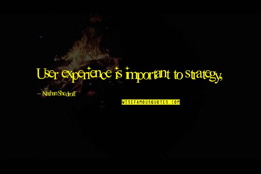Dom Helder Quotes By Nathan Shedroff: User experience is important to strategy, Dom Helder Quotes By Nathan Shedroff: User experience is important to strategy,